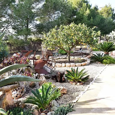 Hort De Na Barrala Ses Covetes