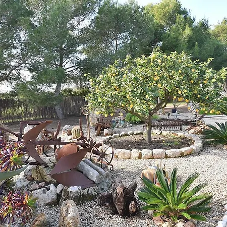 Hort De Sa Barrala * Ses Covetes